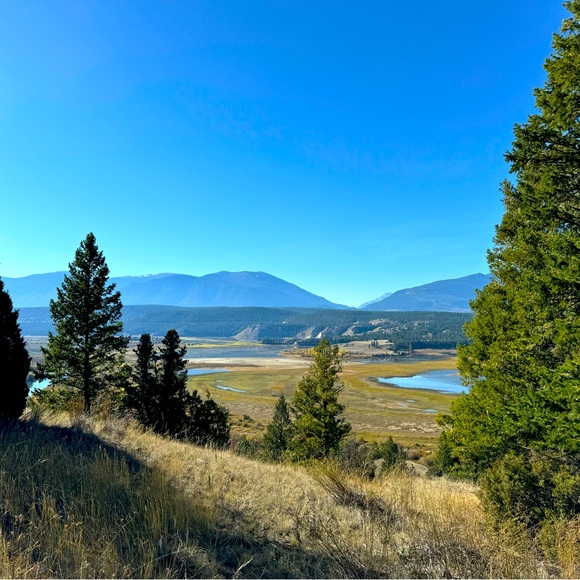 Meet your Posher, Brandy - Picture 1 of 1